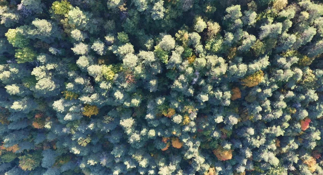 env